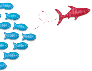 Tech Drive Creative Studios Red Fish